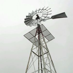 Meet your Posher, Jayde